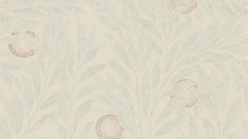 Orange Tree 216403
